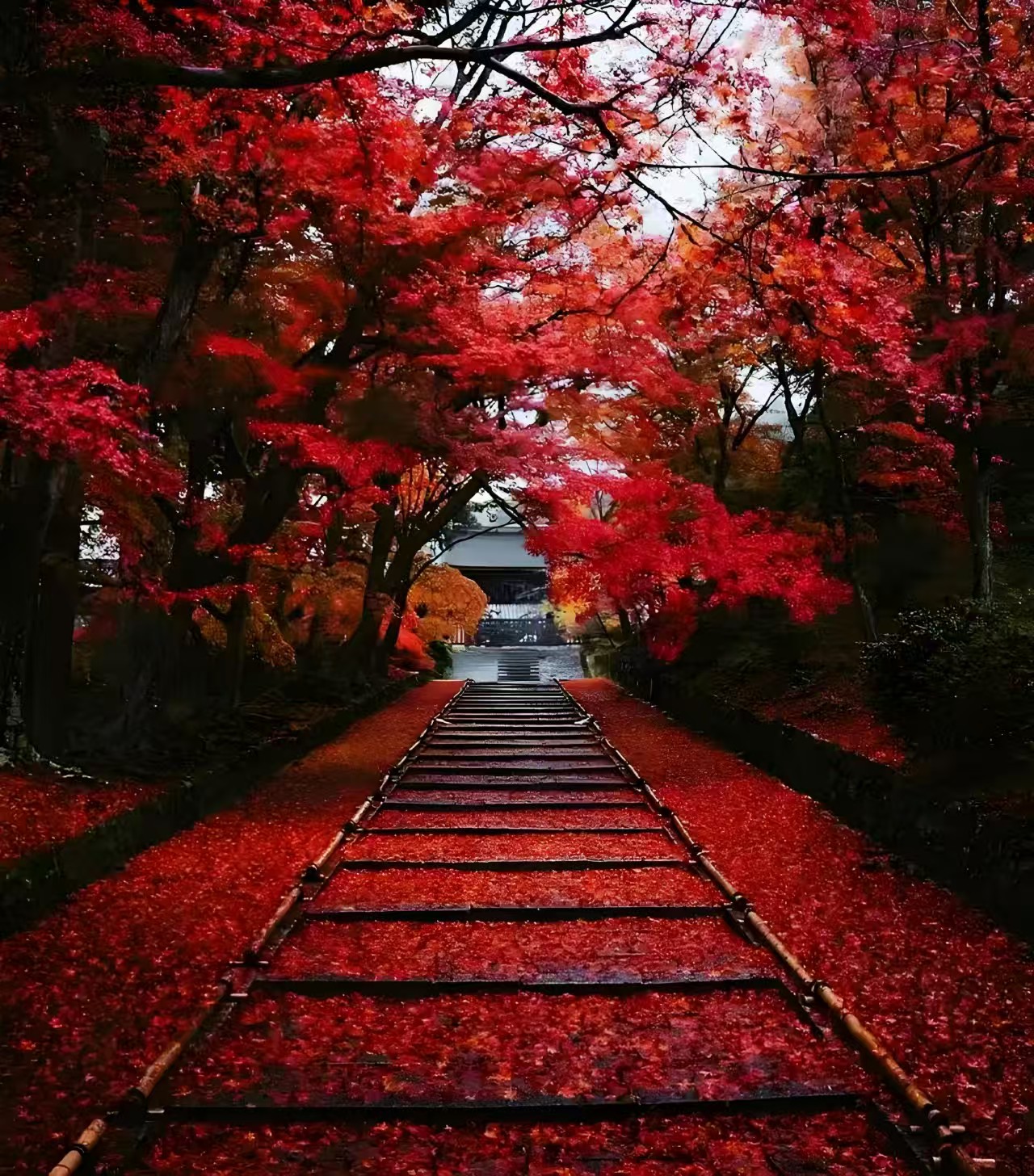 接送服务